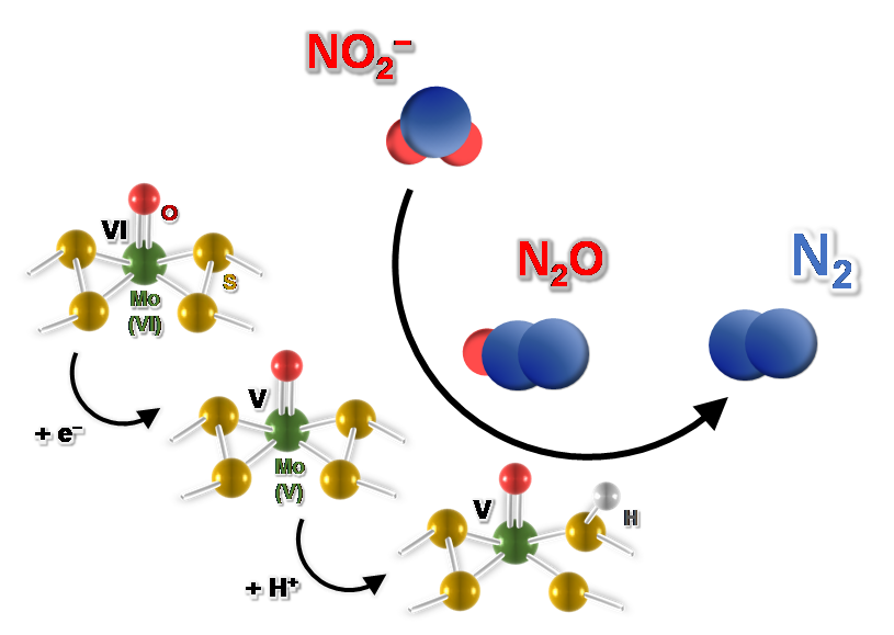 97d04c62e38e5cc07c06054936849226.png 2.png